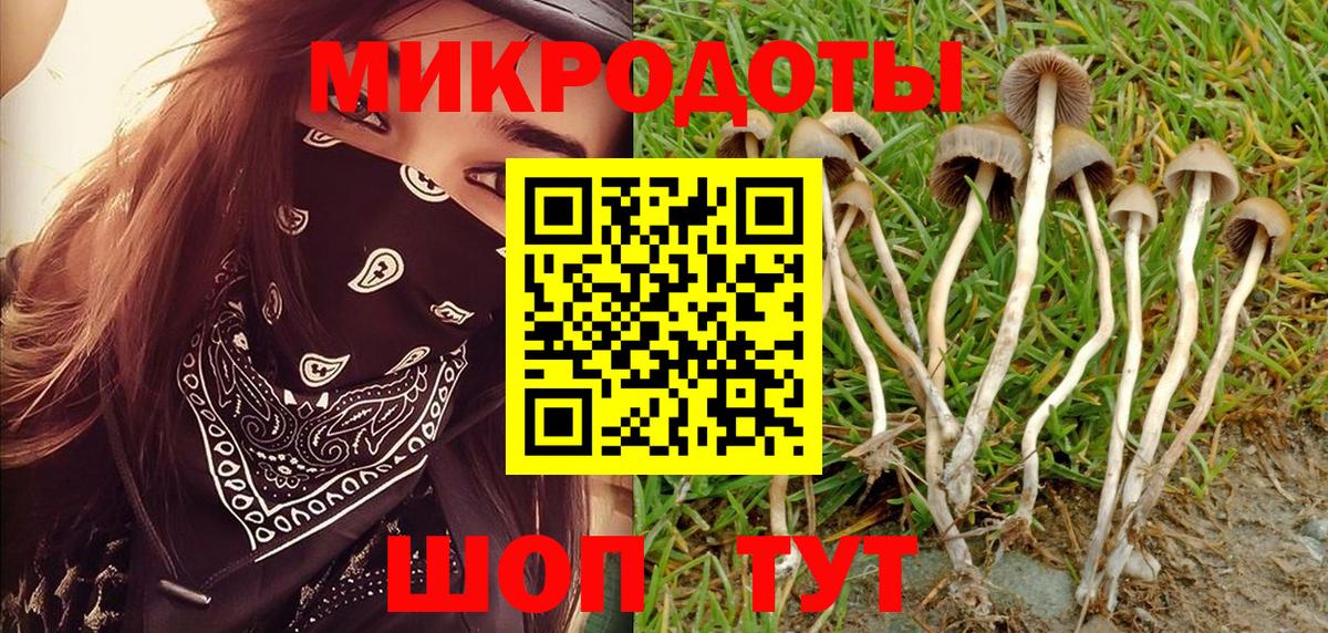 Краснознаменск  Галлюциногенные грибы мухоморы  Вход с VPN  Галлюциногенные грибы мицелий 